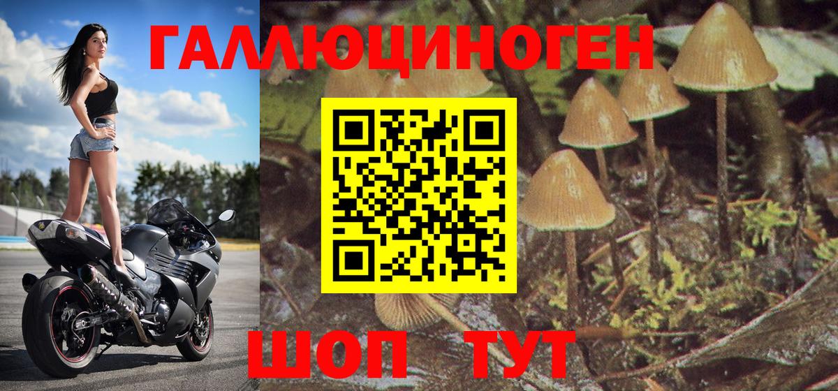 Артёмовский  Галлюциногенные грибы MAGIC MUSHROOMS  Галлюциногенные грибы Magic Shrooms  Вход с VPN 